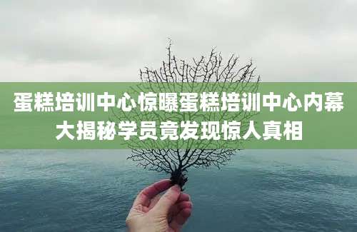 蛋糕培训中心惊曝蛋糕培训中心内幕大揭秘学员竟发现惊人真相