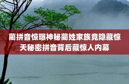 蔺拼音惊曝神秘蔺姓家族竟隐藏惊天秘密拼音背后藏惊人内幕