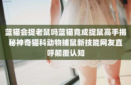 蓝猫会捉老鼠吗蓝猫竟成捉鼠高手揭秘神奇猫科动物捕鼠新技能网友直呼颠覆认知