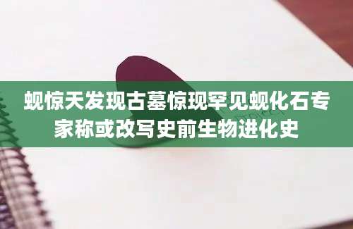 蚬惊天发现古墓惊现罕见蚬化石专家称或改写史前生物进化史
