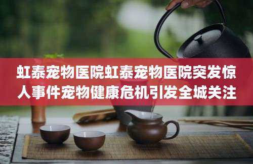 虹泰宠物医院虹泰宠物医院突发惊人事件宠物健康危机引发全城关注