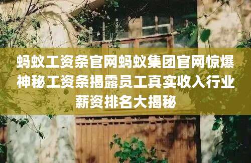 蚂蚁工资条官网蚂蚁集团官网惊爆神秘工资条揭露员工真实收入行业薪资排名大揭秘