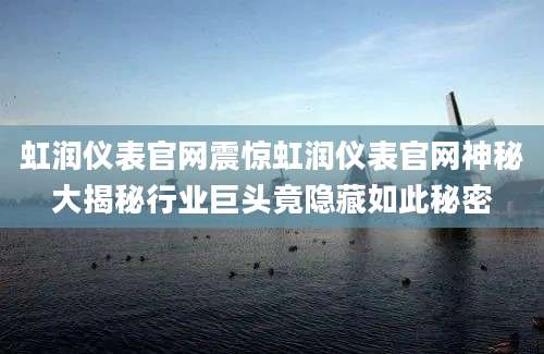 虹润仪表官网震惊虹润仪表官网神秘大揭秘行业巨头竟隐藏如此秘密