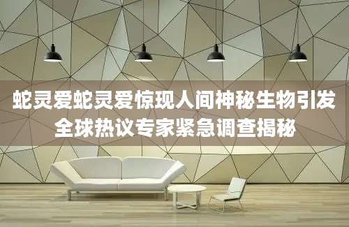 蛇灵爱蛇灵爱惊现人间神秘生物引发全球热议专家紧急调查揭秘