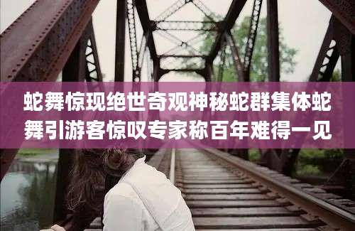 蛇舞惊现绝世奇观神秘蛇群集体蛇舞引游客惊叹专家称百年难得一见