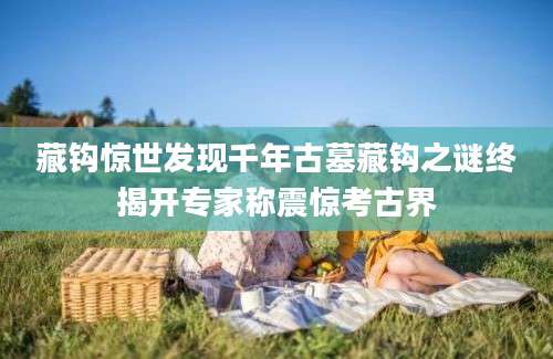 藏钩惊世发现千年古墓藏钩之谜终揭开专家称震惊考古界