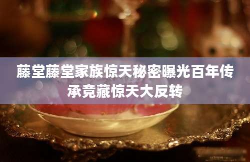藤堂藤堂家族惊天秘密曝光百年传承竟藏惊天大反转