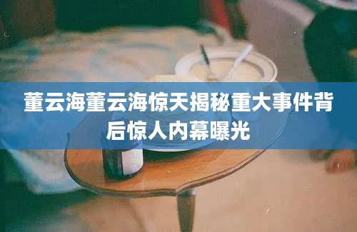 董云海董云海惊天揭秘重大事件背后惊人内幕曝光