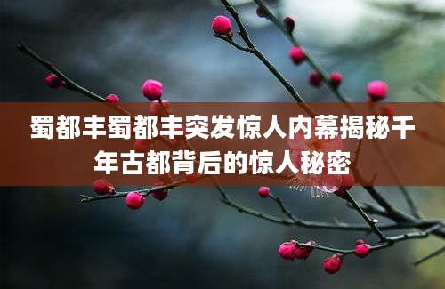 蜀都丰蜀都丰突发惊人内幕揭秘千年古都背后的惊人秘密