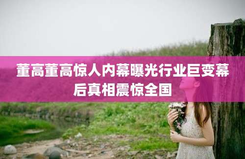 董高董高惊人内幕曝光行业巨变幕后真相震惊全国