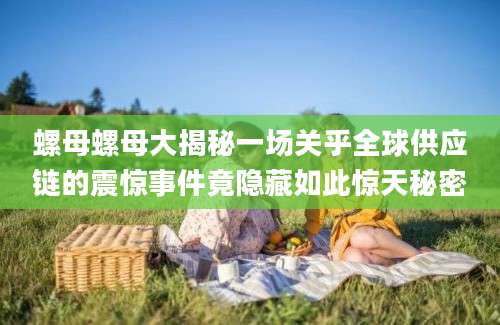 螺母螺母大揭秘一场关乎全球供应链的震惊事件竟隐藏如此惊天秘密