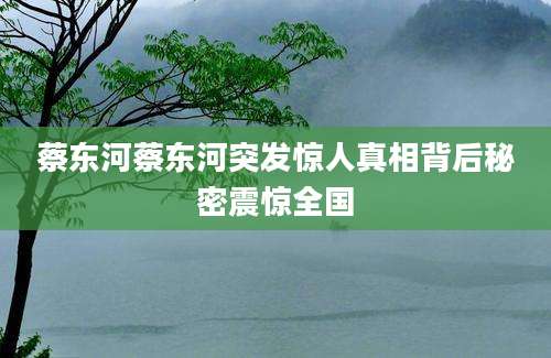蔡东河蔡东河突发惊人真相背后秘密震惊全国