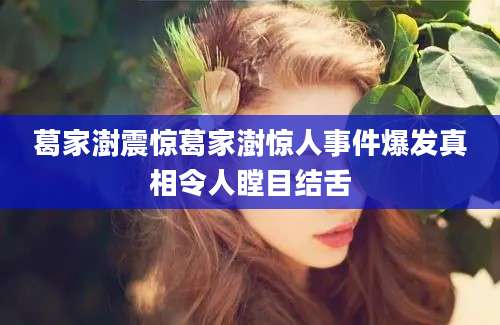 葛家澍震惊葛家澍惊人事件爆发真相令人瞠目结舌