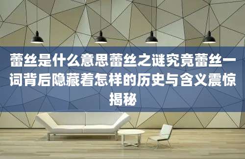 蕾丝是什么意思蕾丝之谜究竟蕾丝一词背后隐藏着怎样的历史与含义震惊揭秘