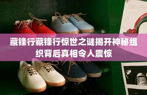 藏锋行藏锋行惊世之谜揭开神秘组织背后真相令人震惊