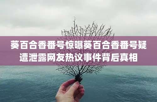 葵百合香番号惊曝葵百合香番号疑遭泄露网友热议事件背后真相