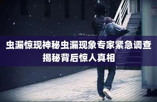 虫漏惊现神秘虫漏现象专家紧急调查揭秘背后惊人真相