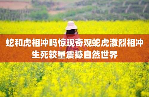 蛇和虎相冲吗惊现奇观蛇虎激烈相冲生死较量震撼自然世界