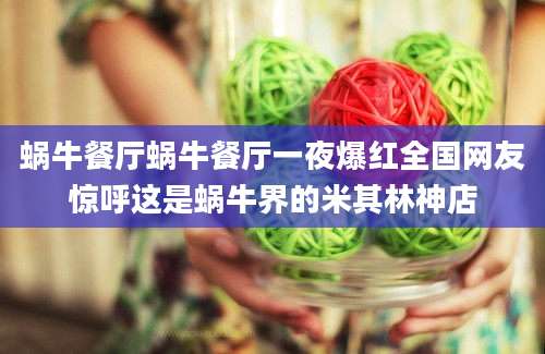 蜗牛餐厅蜗牛餐厅一夜爆红全国网友惊呼这是蜗牛界的米其林神店