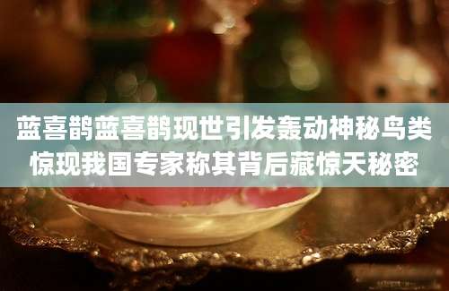 蓝喜鹊蓝喜鹊现世引发轰动神秘鸟类惊现我国专家称其背后藏惊天秘密