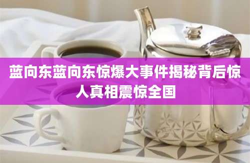 蓝向东蓝向东惊爆大事件揭秘背后惊人真相震惊全国
