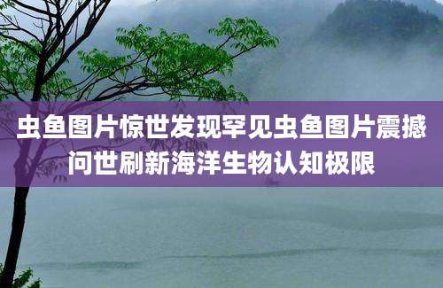 虫鱼图片惊世发现罕见虫鱼图片震撼问世刷新海洋生物认知极限