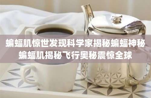 蝙蝠肌惊世发现科学家揭秘蝙蝠神秘蝙蝠肌揭秘飞行奥秘震惊全球