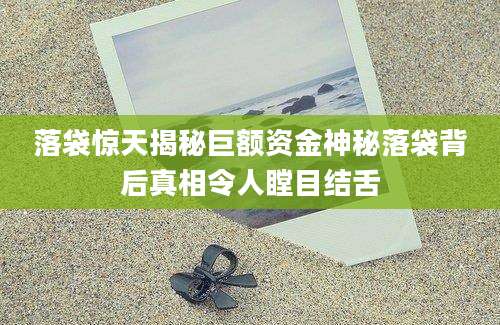 落袋惊天揭秘巨额资金神秘落袋背后真相令人瞠目结舌