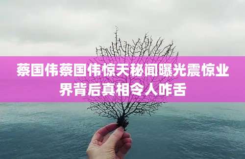 蔡国伟蔡国伟惊天秘闻曝光震惊业界背后真相令人咋舌