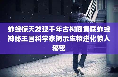 蚱蝉惊天发现千年古树间竟藏蚱蝉神秘王国科学家揭示生物进化惊人秘密
