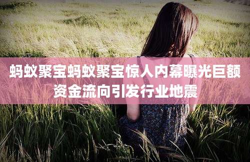 蚂蚁聚宝蚂蚁聚宝惊人内幕曝光巨额资金流向引发行业地震