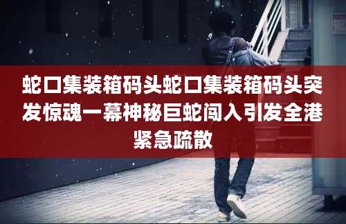 蛇口集装箱码头蛇口集装箱码头突发惊魂一幕神秘巨蛇闯入引发全港紧急疏散