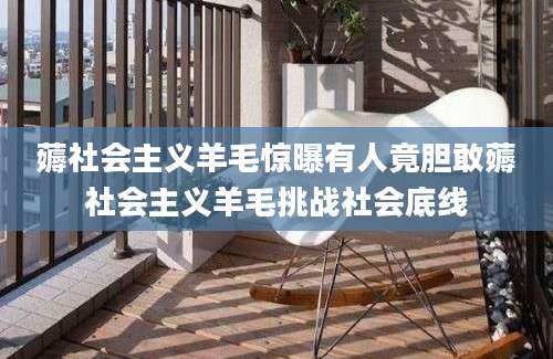 薅社会主义羊毛惊曝有人竟胆敢薅社会主义羊毛挑战社会底线