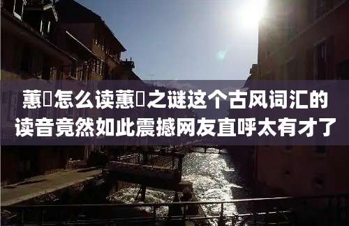 蕙茝怎么读蕙茝之谜这个古风词汇的读音竟然如此震撼网友直呼太有才了