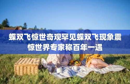 蝶双飞惊世奇观罕见蝶双飞现象震惊世界专家称百年一遇