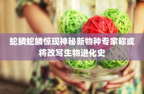 蛇鳞蛇鳞惊现神秘新物种专家称或将改写生物进化史