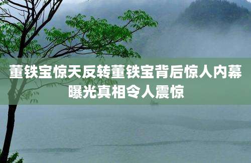 董铁宝惊天反转董铁宝背后惊人内幕曝光真相令人震惊