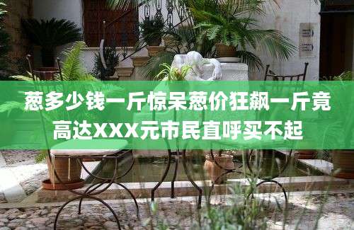 葱多少钱一斤惊呆葱价狂飙一斤竟高达XXX元市民直呼买不起