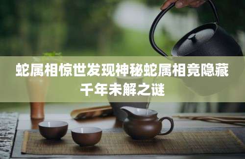 蛇属相惊世发现神秘蛇属相竟隐藏千年未解之谜