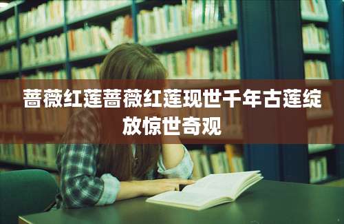 蔷薇红莲蔷薇红莲现世千年古莲绽放惊世奇观