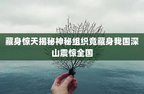 藏身惊天揭秘神秘组织竟藏身我国深山震惊全国