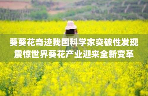 葵葵花奇迹我国科学家突破性发现震惊世界葵花产业迎来全新变革