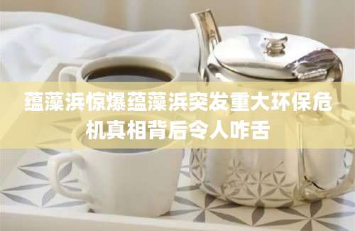 蕴藻浜惊爆蕴藻浜突发重大环保危机真相背后令人咋舌