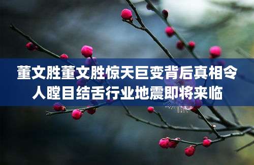 董文胜董文胜惊天巨变背后真相令人瞠目结舌行业地震即将来临