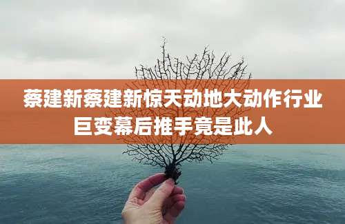 蔡建新蔡建新惊天动地大动作行业巨变幕后推手竟是此人