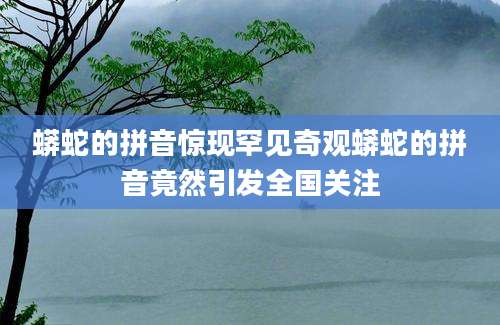 蟒蛇的拼音惊现罕见奇观蟒蛇的拼音竟然引发全国关注