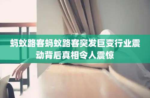 蚂蚁路客蚂蚁路客突发巨变行业震动背后真相令人震惊