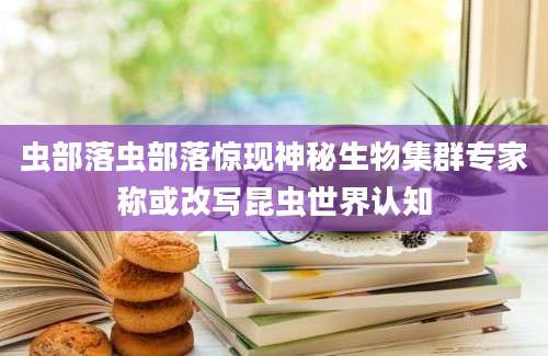 虫部落虫部落惊现神秘生物集群专家称或改写昆虫世界认知