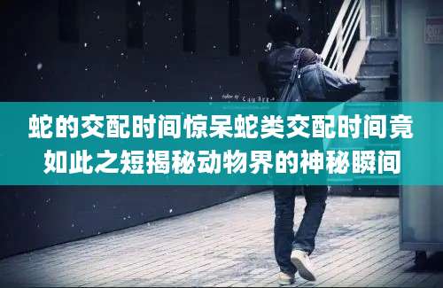 蛇的交配时间惊呆蛇类交配时间竟如此之短揭秘动物界的神秘瞬间