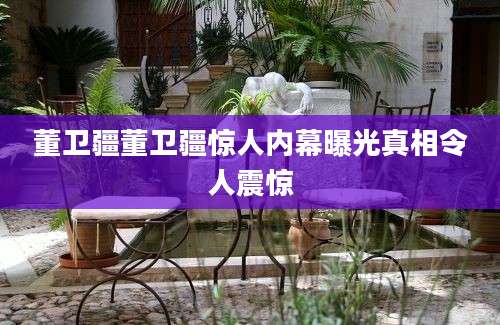 董卫疆董卫疆惊人内幕曝光真相令人震惊